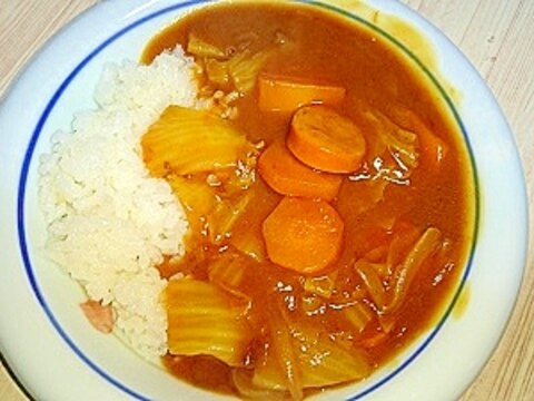 とろとろ白菜カレー